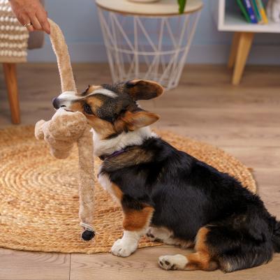 Игрушка для собак Ленивец 4680368437647 – фото 2