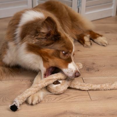 Игрушка для собак Ленивец 4680368437647 – фото 4