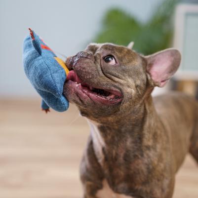 Игрушка для собак Ленивец – фото 2