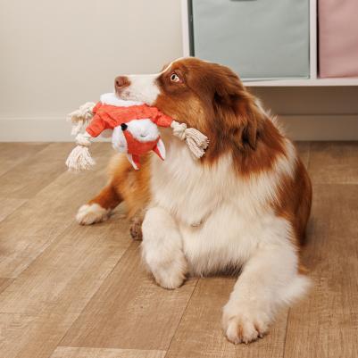 Игрушка для собак Лиса, 28 см – фото 2