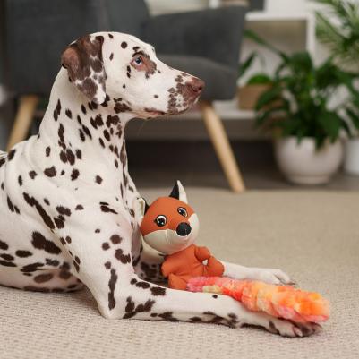 Игрушка для собак Лисичка, 52х12х11,5 см – фото 2