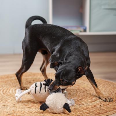 Игрушка для собак Лошадка 4680368439474 – фото 3