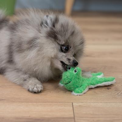 Игрушка для собак Лягушонок 4680368437258 – фото 1