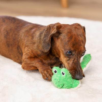 Игрушка для собак Лягушонок 4680368437258 – фото 2