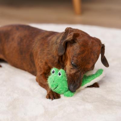 Игрушка для собак Лягушонок 4680368437258 – фото 4