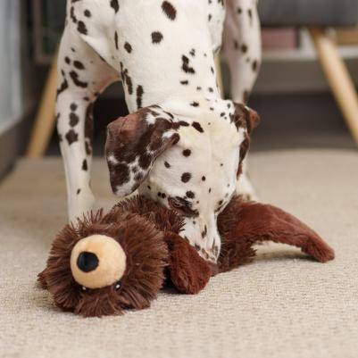 Игрушка для собак Медведь, 54х22х8,5 см – фото 2