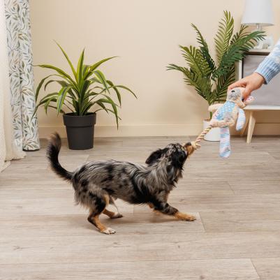 Игрушка для собак Медвежонок, 26 см 4680368255463 – фото 2