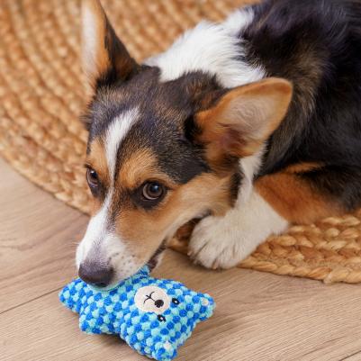 Игрушка для собак Медвежонок – фото 1