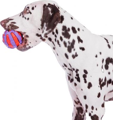 Игрушка для собак Мяч для лакомств, 7,8 см 4680368291645 – фото 1