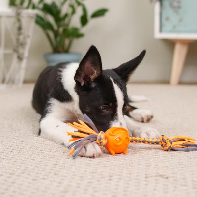 Игрушка для собак Мяч Кот на веревке, 4,5 см – фото 2