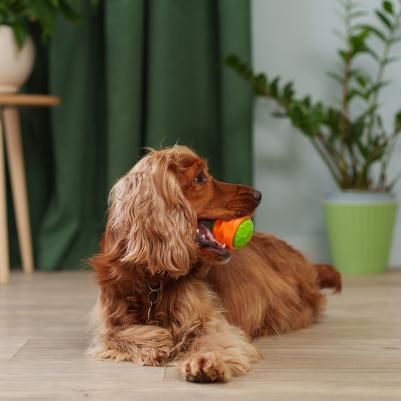 Игрушка для собак Набор мячиков 3 шт 4680368417960 – фото 3