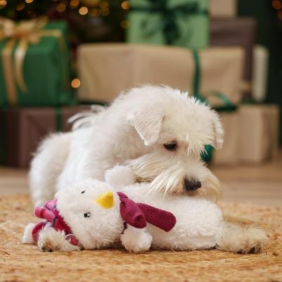 Игрушка для собак NEW YEAR Снеговик 4680368379305