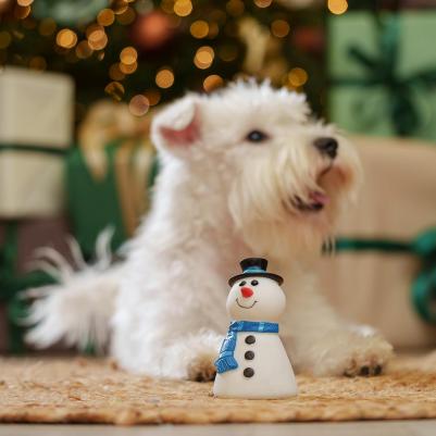 Игрушка для собак NEW YEAR Снеговик 4680368440579