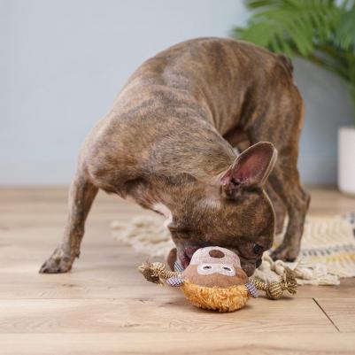 Игрушка для собак Обезьянка – фото 2