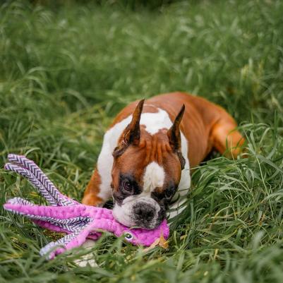 Игрушка для собак Осьминог, 39 см – фото 1