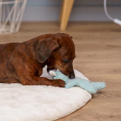 Игрушка для собак Овечка – фото 1