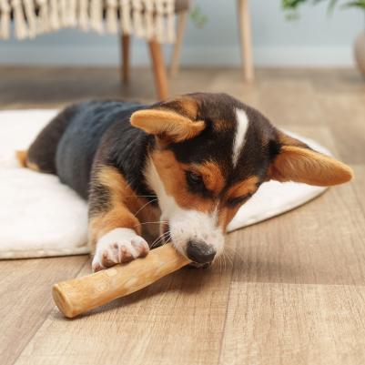 Игрушка для собак Палочка из кофейного дерева, 17,5х3,5 см – фото 4