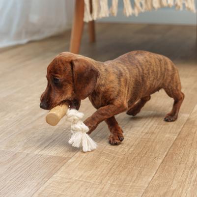 Игрушка для собак Палочка из кофейного дерева с веревкой, 8,5х3 см – фото 3