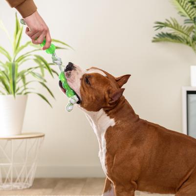 Игрушка для собак Палочки на веревке, 38.6 см – фото 3