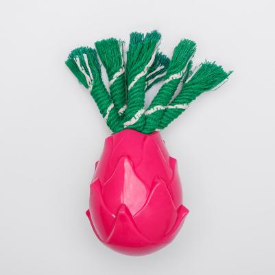 Игрушка для собак Питахайя, 7,7х9,7 см