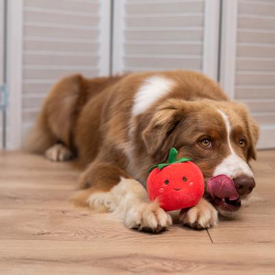 Игрушка для собак Помидор – фото 1