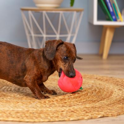 Игрушка для собак Помидор – фото 3
