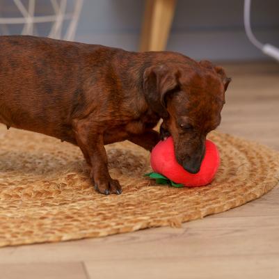 Игрушка для собак Помидор – фото 4