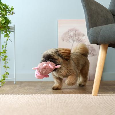 Игрушка для собак Поросенок, 19х13х8,5 см – фото 1