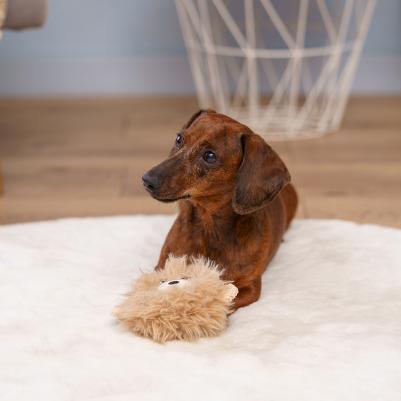 Игрушка для собак Пушистик – фото 1