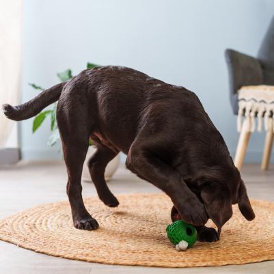 Игрушка для собак Рыба 10 см – фото 2