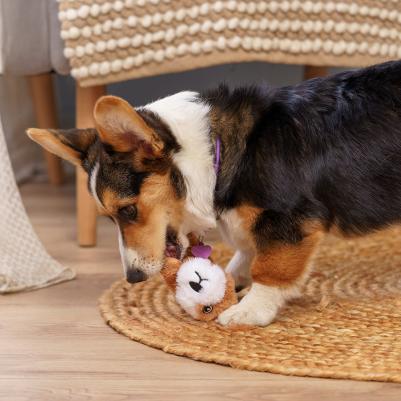 Игрушка для собак Щенок 19 см – фото 2