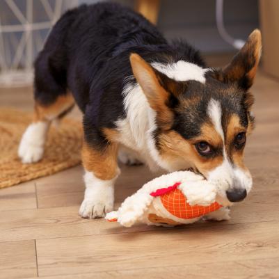 Игрушка для собак Щенок – фото 1