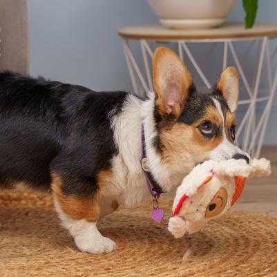 Игрушка для собак Щенок – фото 2