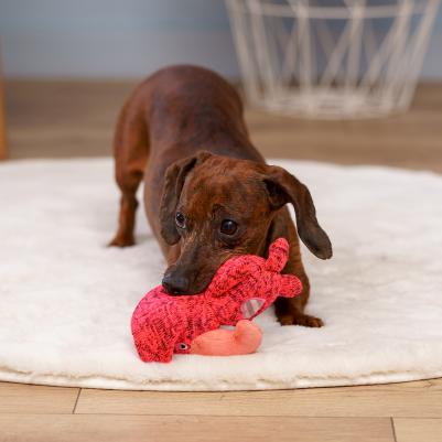 Игрушка для собак Слоник 17 см – фото 1