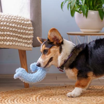 Игрушка для собак Слоник 19 см – фото 1