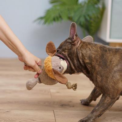 Игрушка для собак Собака 4680368438095 – фото 2