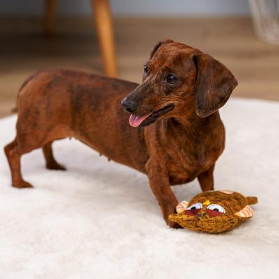 Игрушка для собак Сова 14 см – фото 1