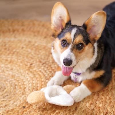 Игрушка для собак Тапочек с ушками – фото 2