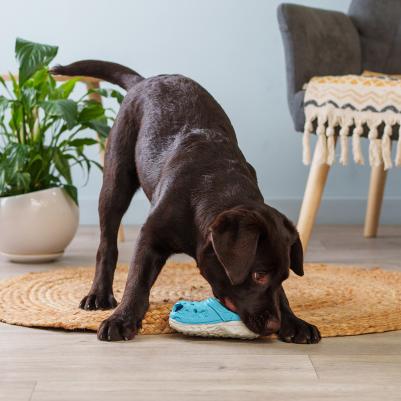 Игрушка для собак Тапок 16 см – фото 1