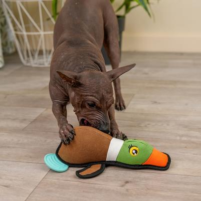 Игрушка для собак Утка, 27 см – фото 2