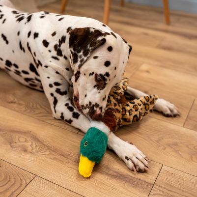 Игрушка для собак Утка 4680368437876 – фото 2