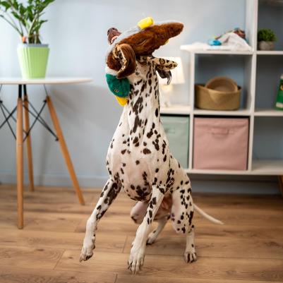 Игрушка для собак Утка 4680368437876 – фото 3