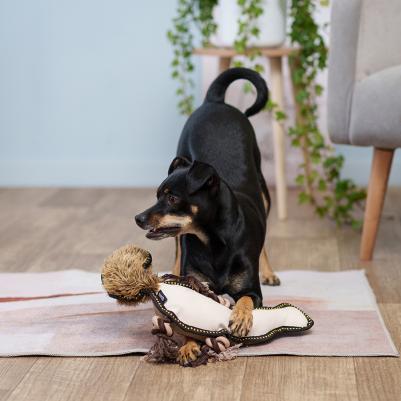 Игрушка для собак Утконос, 35 см – фото 1