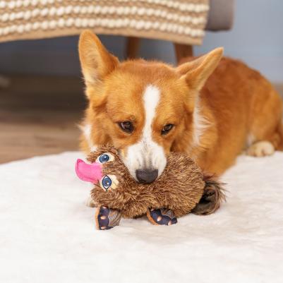 Игрушка для собак Утконос 4680368437913 – фото 4