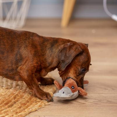 Игрушка для собак Утконос – фото 2