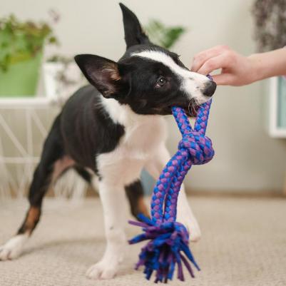 Игрушка для собак Веревка, 40 см – фото 2