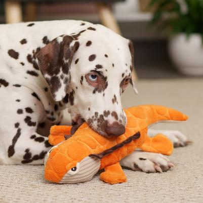 Игрушка для собак Ящер, 33х17х7 см – фото 1