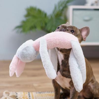 Игрушка для собак Заяц 4680368438170 – фото 2