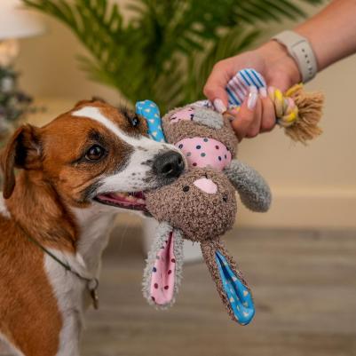 Игрушка для собак Зайчик, 32 см – фото 1