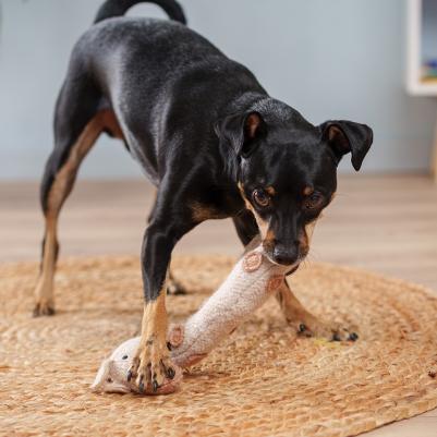 Игрушка для собак Жираф 4680368439481 – фото 2